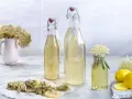 Flaschen mit hellem Holunderblütensirup, bereit zum Holunderschnaps ansetzen. Getrocknete Blüten, Zitronenscheiben und frische Blüten zieren die Szene.