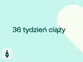 36 tydzień ciąży. Dziecko rośnie, a jego waga jest już znacząca. Ikony D+ i kobiety w ciąży.