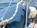 Blauer Fender am Boot befestigen mit Seilen. Das Boot gleitet auf dem blauen Meer.