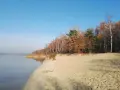 Piękna plaża i las nad jeziorem, idealne na spacer. Odkryj fajne miejsca w okolicach Oświęcimia.