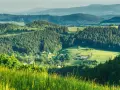 Zielone wzgórza i lasy Gór Sowich, z widocznymi domami i polami. Idealne miejsce na odkrywanie atrakcji i odpoczynek na łonie natury.