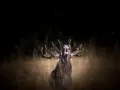 Un cerf majestueux, en pleine période de **brame**, rugit dans l'herbe haute, ses bois imposants se détachant sur le fond sombre de la forêt.