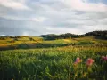 Zielone wzgórza, pola i lasy w słońcu. Idealne miejsce, by zastanowić się, gdzie najbliżej w góry z łodzi.