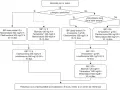 Diagrama de flujo para el tratamiento de la infección por Helicobacter pylori, considerando alergias y eficacia. Si la erradicación es imprescindible, se reevalúa.