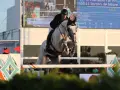 Un cavalier et son cheval gris, levis de muze, franchissent un obstacle lors d'une compétition d'équitation.