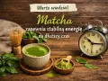 Matcha: Co to znaczy? Pełny przewodnik po zielonym eliksirze