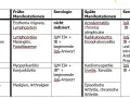 Borrelien Blutuntersuchung: Wichtige Informationen zur Diagnose von Lyme-Borreliose