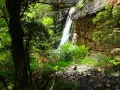 Cascada en la sierra de Ayllón, rodeada de vegetación frondosa y rocas. El agua cae por un acantilado rocoso, creando un paisaje natural impresionante.