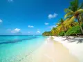 Rajska plaża na Mauritiusie we wrześniu. Błękitne niebo, turkusowa woda i palmy tworzą idealną pogodę na wakacje.
