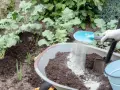 Ręka w rękawiczce rozsypuje mączkę bazaltową do taczki z ziemią, przygotowując nawóz do warzyw.