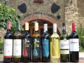 Wybierasz jakie wino na wesele? Rząd butelek z winem czerwonym i białym przed starą winnicą.