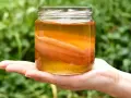 Un bocal de kombucha, boisson fermentée, tenu dans une main. Le SCOBY flotte dans le liquide ambré.