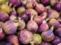 Frische Feigen, lila und grün, warten darauf, gegessen zu werden. So isst man Feigen: einfach reinbeißen!
