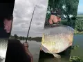 Wędkarze z wielkimi karpiami nad jeziorem. Euro aqua to ich pasja.