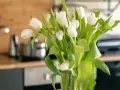 Białe tulipany w wazonie, świeże i pełne życia. Zastanawiasz się, ile wody do tulipanów, by były piękne?