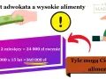 Koszty adwokata w sprawie o alimenty: Czy to się opłaca?