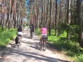 Rodzina na rowerach przemierza leśną ścieżkę. Słońce przebija się przez drzewa, tworząc cień. To idealne miejsce na **velo tatry** i aktywne spędzanie czasu.