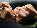 Kawałek pysznego tuńczyka dla kota, podany na widelcu z listkiem pietruszki.