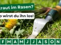 Gras mit Löwenzahn und einem Unkrautstecher. Der Text lautet: "Unkraut im Rasen? -so wirst du ihn los!".
