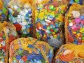 Ile kosztują nakrętki w skupie? Sprawdź aktualne ceny i zarobki