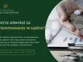 Ile bierze adwokat za sprawę o odszkodowanie? Poznaj ukryte koszty