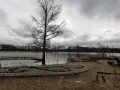 Ein kahler Baum am Ufer des Baggersees Grenis. Eine Holzplattform ragt ins Wasser, das von einer Bojenkette begrenzt wird. Sandiger Strand mit steinernen Sitzgelegenheiten.