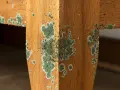 Moisissure verte envahit le bois d'un meuble, formant des taches rondes et des amas cotonneux.