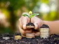 Una mano sostiene una planta joven brotando de monedas apiladas, simbolizando el crecimiento y la inversión en hostelería sostenible.