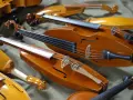 Kolekcja dawnych instrumentów smyczkowych, w tym skrzypiec i altówek, lśni w cieple.