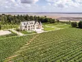 Prachtvolles Anwesen mit Weinbergen am Meer. Ein Weingut in Schleswig-Holstein, das Luxus und Natur vereint.