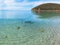 Czysta woda i piaszczyste dno tworzą idealne toskańskie plaże. W oddali widać żaglówkę i zielone wzgórza.