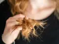 Dłoń trzyma kępkę zniszczonych, rudych włosów, które potrzebują podcinania końcówek.
