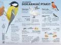 Słonina dla ptaków to dobry pokarm zimą. Na ilustracji widać różne rodzaje karmników i ptaki.