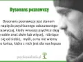 Dysonans poznawczy: napięcie, gdy sprzeczne myśli w głowie walczą o prymat, a Ty nie wiesz, która jest lepsza.