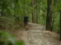Mężczyzna z plecakiem idzie kamienistą ścieżką przez las. To część trasy na zamek Chojnik.