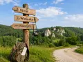 Drewniany drogowskaz z napisami Ojców, Wieliczka, Zakopane. Plecak i aparat sugerują wycieczki z Krakowa.
