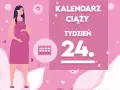Kobieta w 24 tygodniu ciąży, z brzuszkiem. Obok kalendarz i napis "Kobieta w 24 tygodniu ciąży".