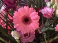 Różowa gerbera doniczkowa w bukiecie z innymi kwiatami.