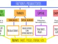 Diagrama de los factores productivos de una empresa: recursos naturales, trabajo, capital y empresario, que generan bienes como maíz y trigo.
