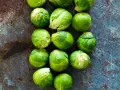 Frischer Rosenkohl liegt auf dunklem Untergrund. So lagern Sie Rosenkohl richtig für maximale Frische.