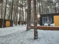 Nowoczesne domki nad morzem całoroczne w zimowej scenerii. Śnieg pokrywa trawę i drzewa, tworząc bajkowy krajobraz.