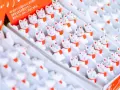 Co warto kupić na pamiątkę z podróży? Odkryj najlepsze produkty