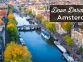 Hotel Amsterdam: Guida ai Quartieri, Prezzi e Prenotazioni