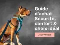 Un chien portant un harnais bleu est assis, regardant vers la droite. Le texte indique "Guide d'achat Sécurité, confort & choix idéal". Le bon **taille harnais** est essentiel.
