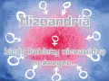 Mizoandria: kiedy kobiety nienawidzą mężczyzn... Symbol Wenus otoczony symbolami Marsa.