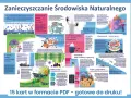 Zanieczyszczenia środowiska: Co możesz zrobić dla Polski?