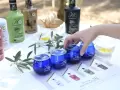 Najlepsza oliwa z oliwek – z jakiego kraju pochodzi ta wyjątkowa jakość?