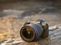 Aparat Canon EOS Ra z obiektywem RF 15-35mm f/2.8L IS USM leży na kamieniu.