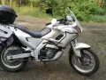 Srebrny motocykl Aprilia 650 z kufrem i sakwami, gotowy na przygodę w lesie.