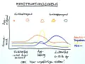 Diagram över menstruationscykeln som visar hur nivåerna av kvinnliga hormoner (östradiol, progesteron, LH, FSH) förändras under cykelns olika faser.